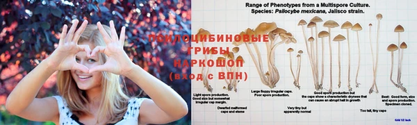 мяу мяу мука Армянск
