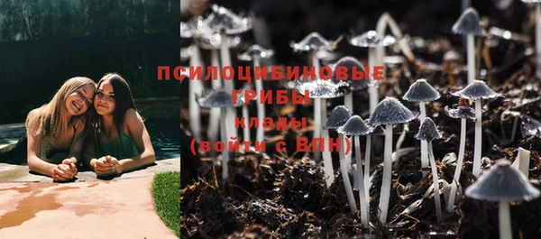 мяу мяу мука Армянск