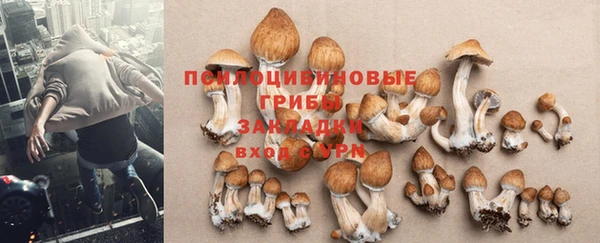 MESCALINE Аркадак