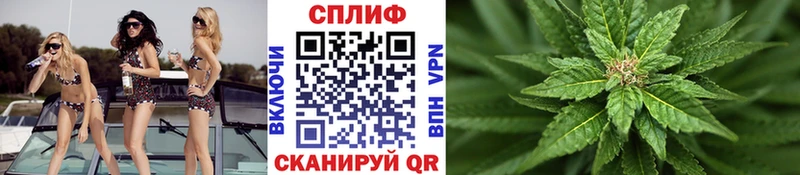 Бошки Шишки Amnesia  где найти наркотики  Усмань 
